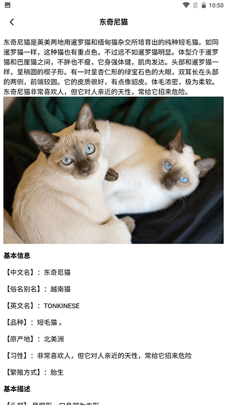 我家猫舍截图4