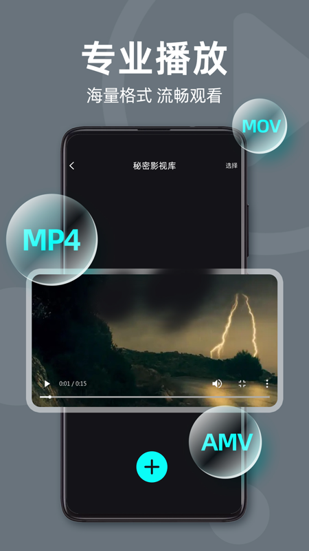 私人隐藏播放器截图2