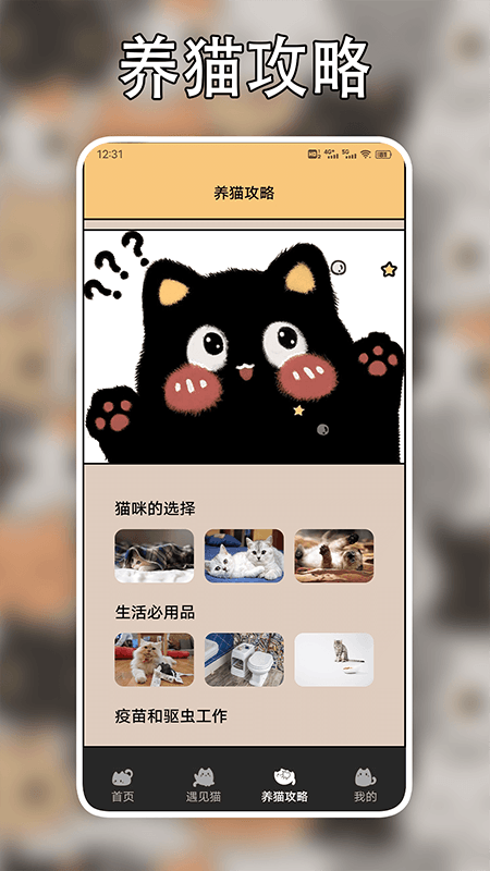 遇见我的猫翻译截图3