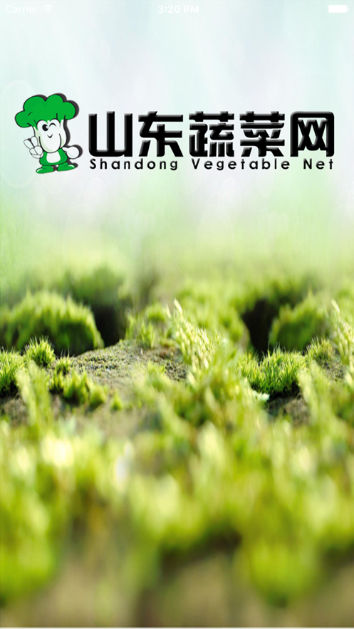山东蔬菜网截图4
