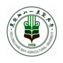 黑龙江八一云