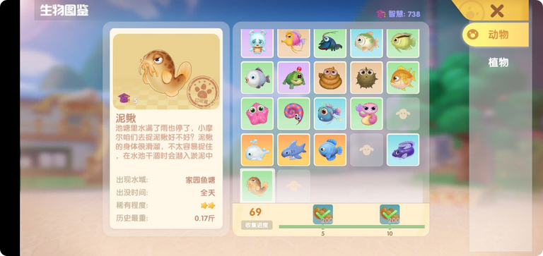 摩尔庄园水上冲浪怎么参加