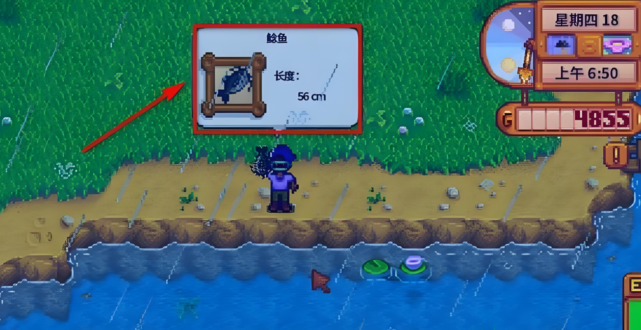 星露谷物语河流农场能钓哪些鱼