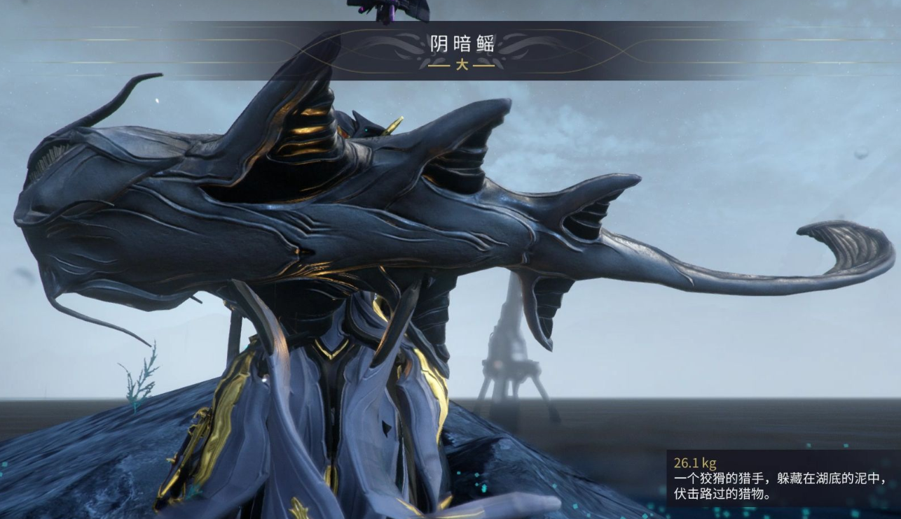 星际战甲稀有鱼在哪里钓