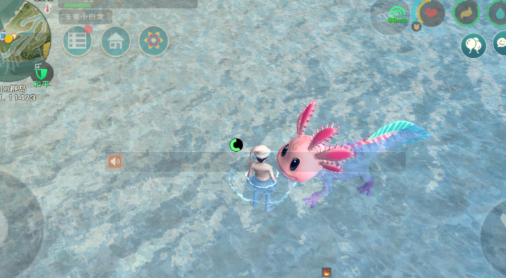 创造与魔法大顽皮蝾螈在哪里