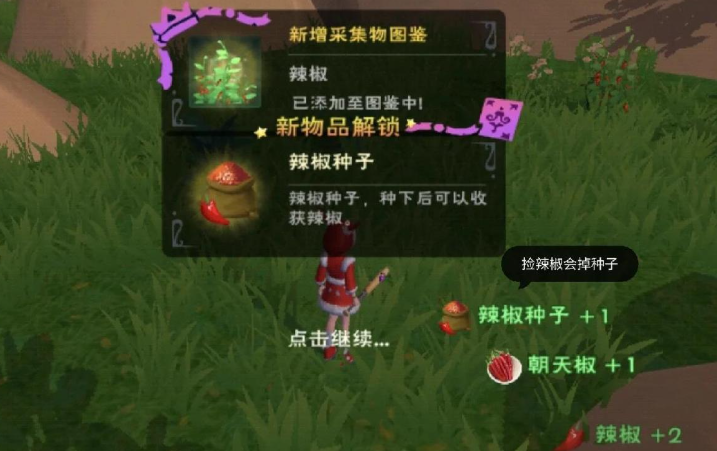 创造与魔法辣椒在哪里最多