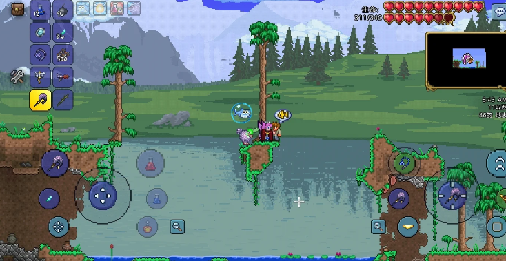 泰拉瑞亚种子怎么获得