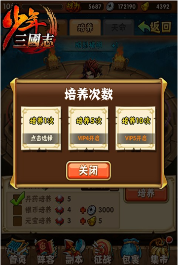 少年三国志双丹怎么使用