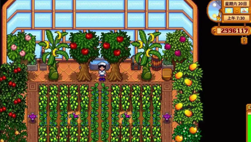 星露谷物语温室种什么收益最高