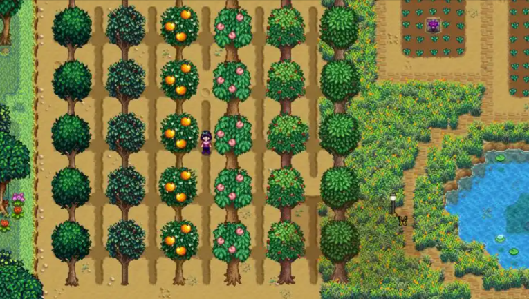 星露谷物语种什么果树最好