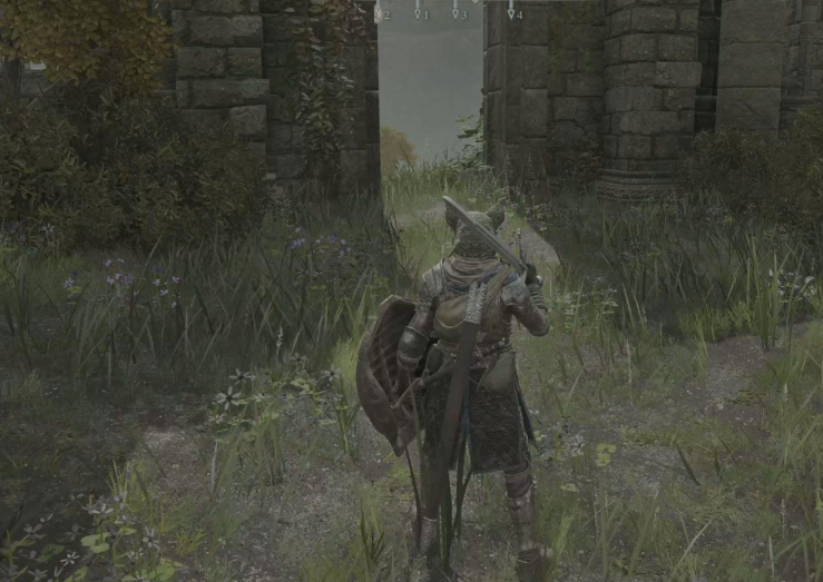 艾尔登法环新手开荒职业推荐什么